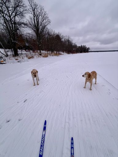 Might have to change segment to LuniHans