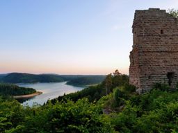 La saison des brimbelles commence ????