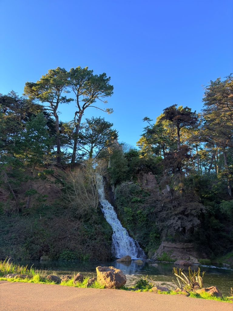 Butterlap (Presidio & Golden Gate Park) photo 59