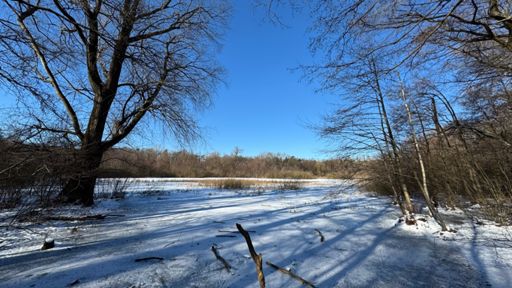 Still ruht der Faule See mit seiner dünnen Eisdecke an diesem Wintermittwoch.