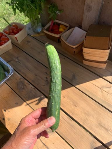 Cukes anyone.
