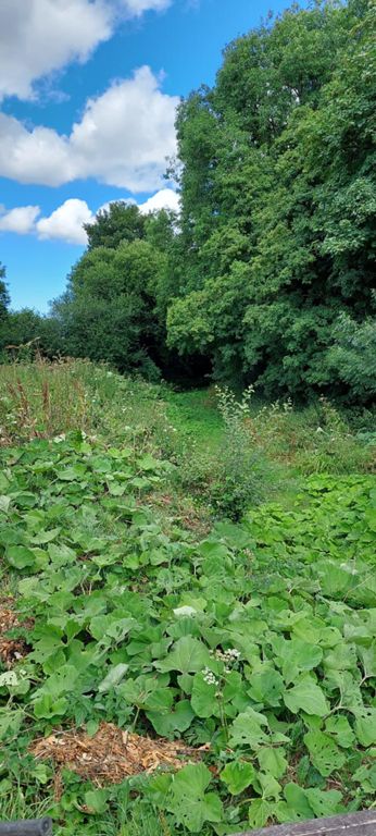 What is now the north eastern end of the Grand Western Canal, which used to link with the Bridgwater Taunton Canal  https://en.wikipedia.org/wiki/Grand_Western_Canal