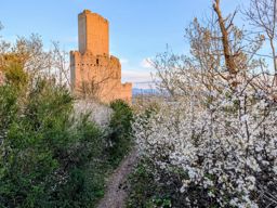 Sunset Rammstein Ortenbourg