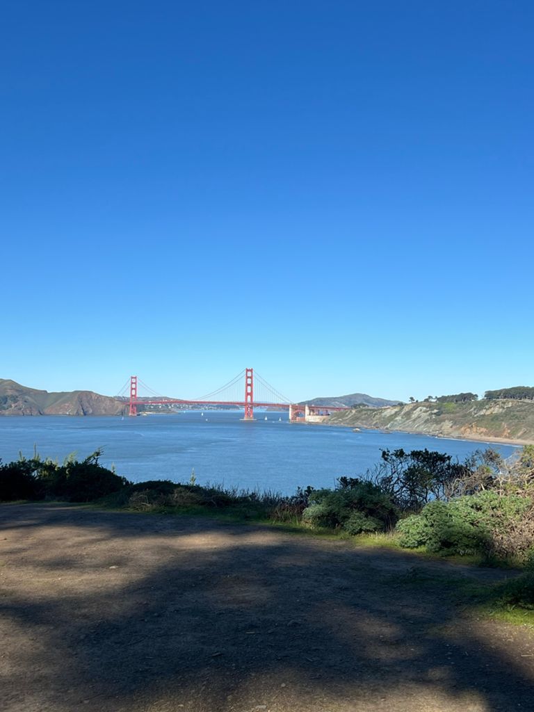 Butterlap (Presidio & Golden Gate Park) photo 9