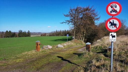 schönes Teilstück, hier geht's bergab