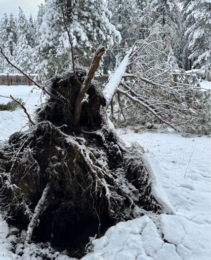 Too much rain must’ve weakened the base. 