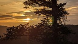 Trail dans l’après-midi