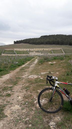 .             Jazzo Pantano          .                   .