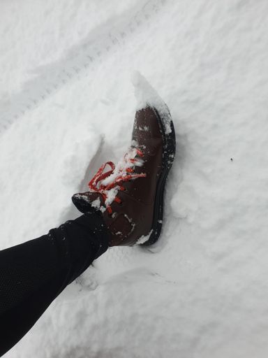 Leningrad-Cowboy 😁