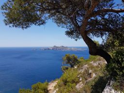 Rando des calanques