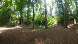 Sortie à vélo le midi