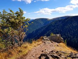 Schlucht au lac vert