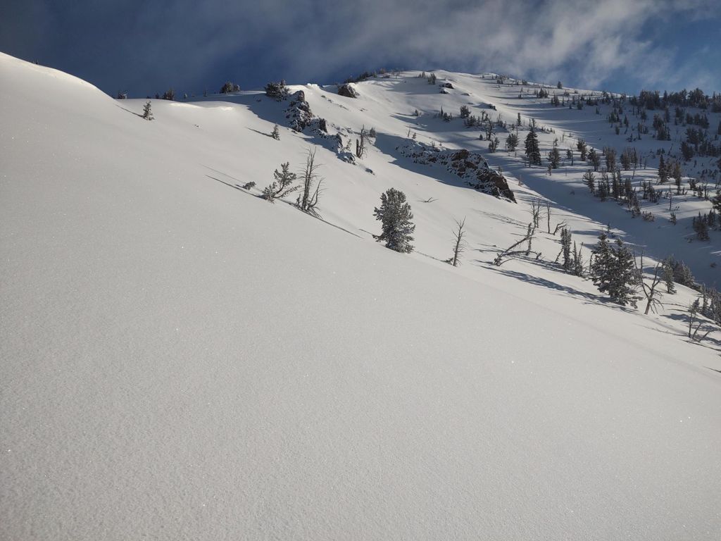 Double-click to expand Taylor | Jackson Hole — photo 4