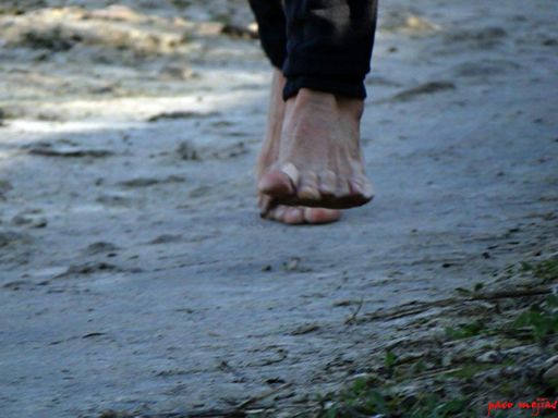 Déjalos libres y serán fuertes, dejalos correr y serán poderosos