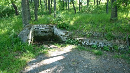 Бъдевата чешма