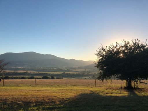 Early morning awakening