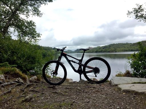 The beavers Loch collie barr