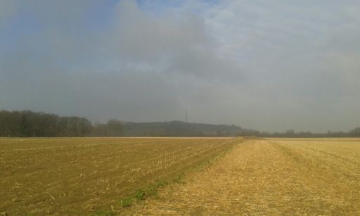 In de verte kolenberg Alt Mill