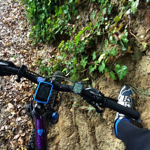 Pljusak,  iznad mene most  kao kišobran.