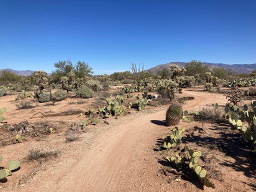 I love these trails!