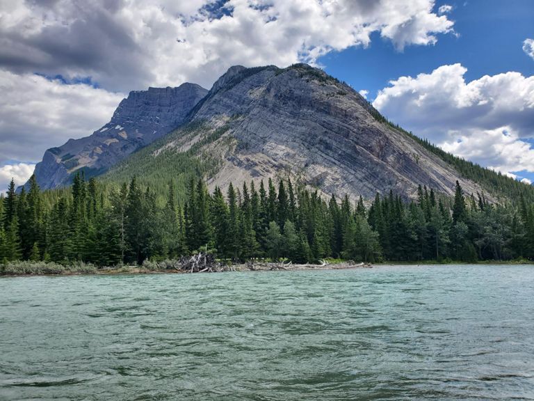 Star Wars > Return of the Jedi > Top Notch 4.8 mi Mountain Biking