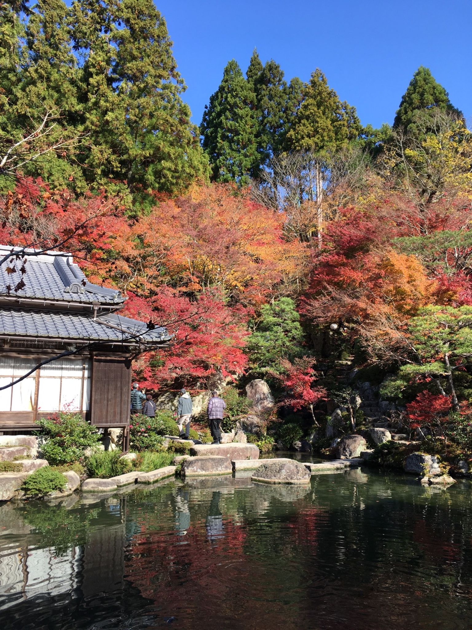 八幡木津自転车道(山城大桥→木津上河原) 上的个人纪录