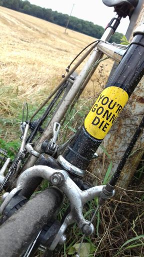 Didn't think it would End this way.