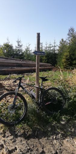 Ob das wieder mal was wird, mit dem Skiweg 🤔🙏