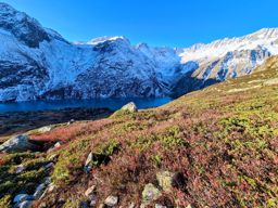 Boucle alpine depuis Goescheneralp