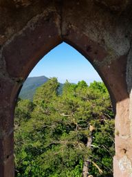 Kaysersberg Bilstein