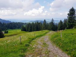VTT au Pilatus à Lucerne