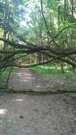 На каменистом спуске