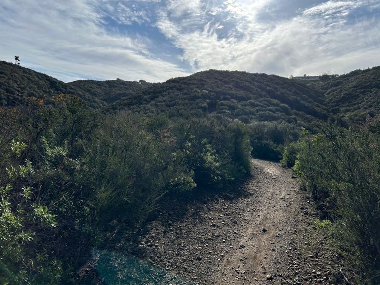 route-highlight