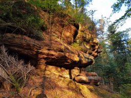 Sortie à vélo le soir