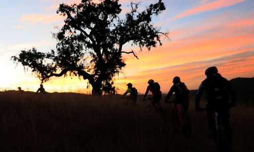 Pre-dawn on the Jim Donnelly Trail approaching the picnic table.