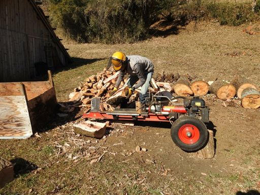 ぶっとい丸太を薪に割る作業。