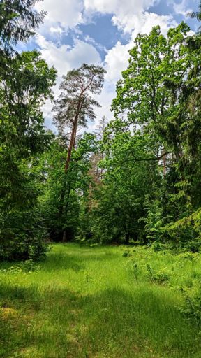 Больше 30 километров такой радости