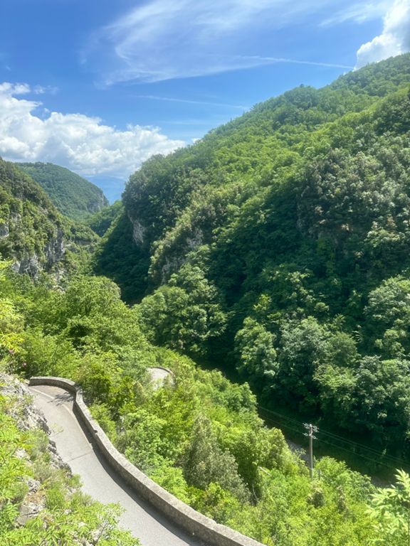 route-highlight