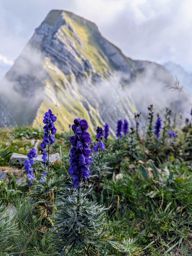 Crapahutage Brenleire Folliéran