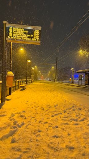 Dicke Schneeflocken fallen aus den Wolken. Weiß eingehüllt ist die Stadt. ❄️☁️ Ruhig ist‘s deshalb auch in Alt-Hohenschönhausen, als ich um zwölf Minuten nach um Zehn nach der Spätschicht auf die Straßenbahn wartete.