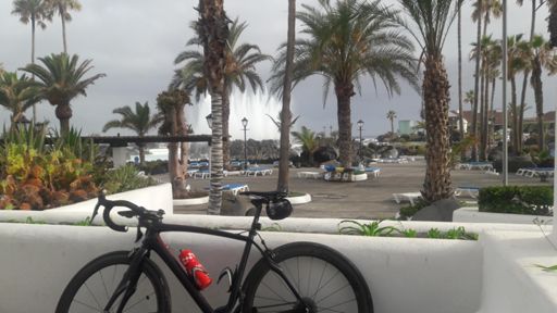 El paseo en El Puerto empieza en uno de mis sitios preferidos: el Lago Martiánez  😍