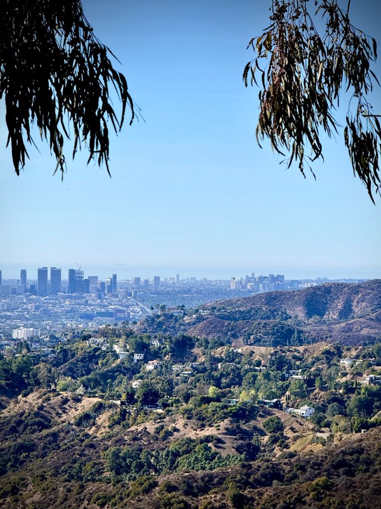 NBB run - Lake Hollywood: фото 106