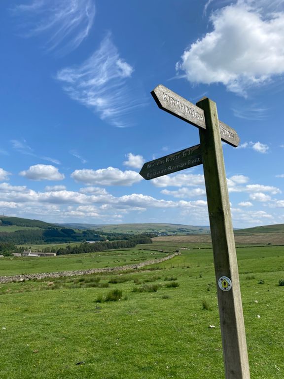 route-highlight