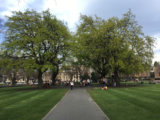 Tasmanian Parliament lawns