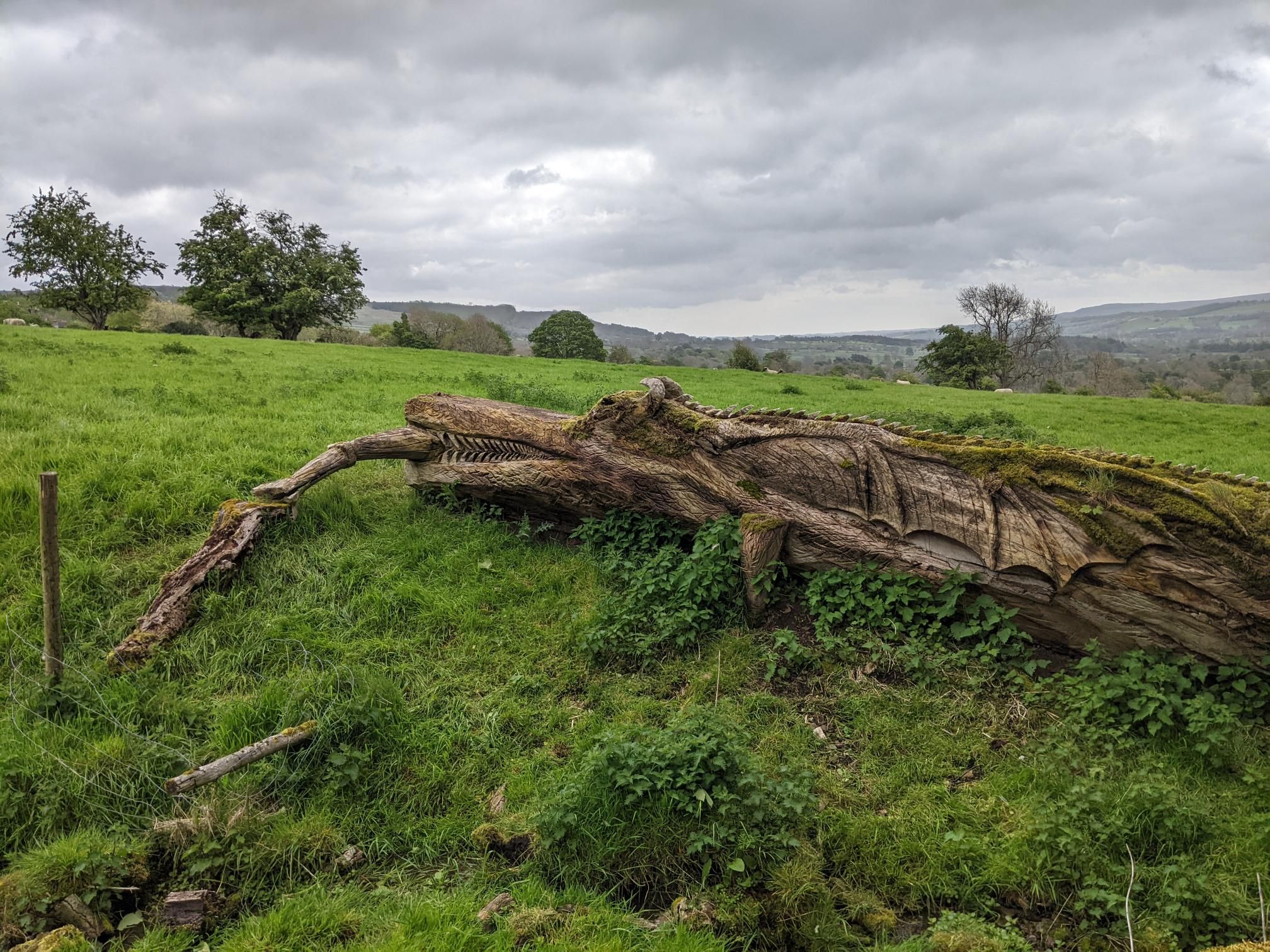 Herriot Way day 1 and 2 photo 2