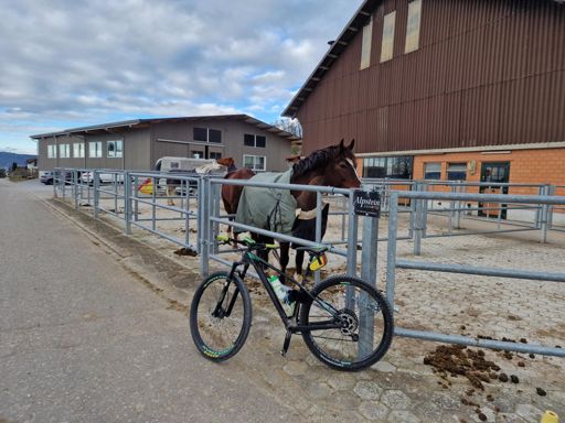 Foi um bom treino ..teve momentos de bom ritmo..mas também teve tranquilidade..🚴‍♂️🔥🚴‍♂️🔥🥶❄️🥶❄️🇵🇹🇨🇭🇧🇷🍀💫💫☝️😉