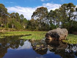 VTT dan l’Estérel