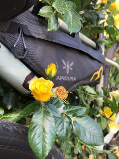 для Оленки 💛