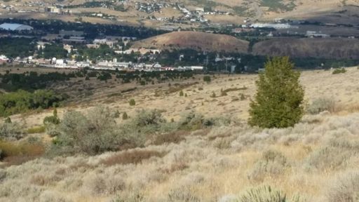 Look close enough and there's some Pioneers climbing to Cross Cut on intervals