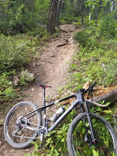 Bottom of one of the "booty call" section. Absolutely horrifying. 'Almost' made it down😉